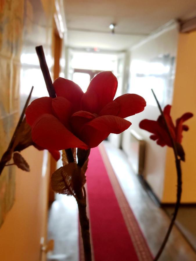 Hostal Torres Del Paine 2 Пунта-Аренас Екстер'єр фото